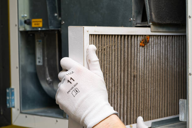 Best HVAC Duct Inspection Services  in Plainview, TN