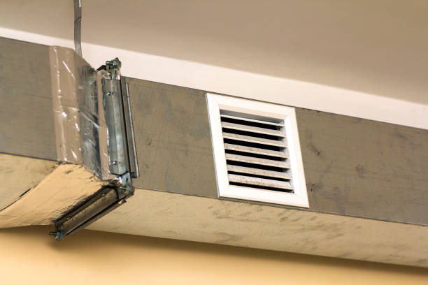 Best Local Air Duct Cleaning Services  in Plainview, TN